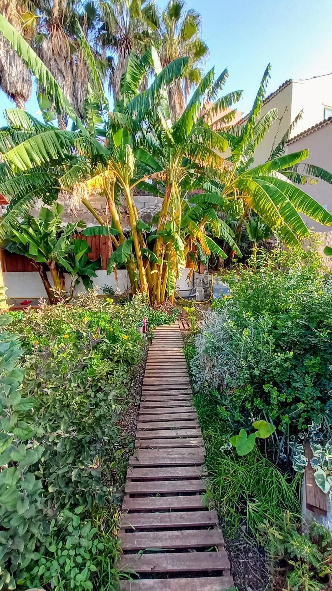 Finca Don Pedro Santa Cruz de Tenerife Dış mekan fotoğraf